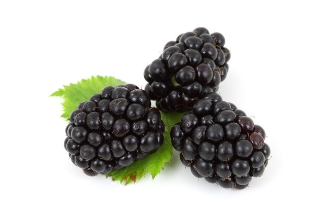 blackberry boosts immunity picture
