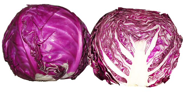 Red Cabbage have vitamin C