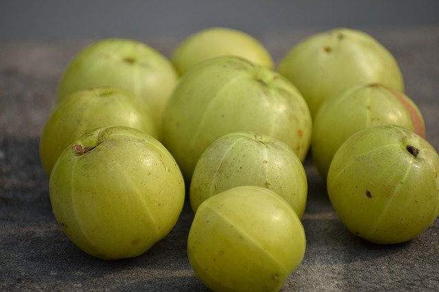 indian gooseberry amla have vitamin C